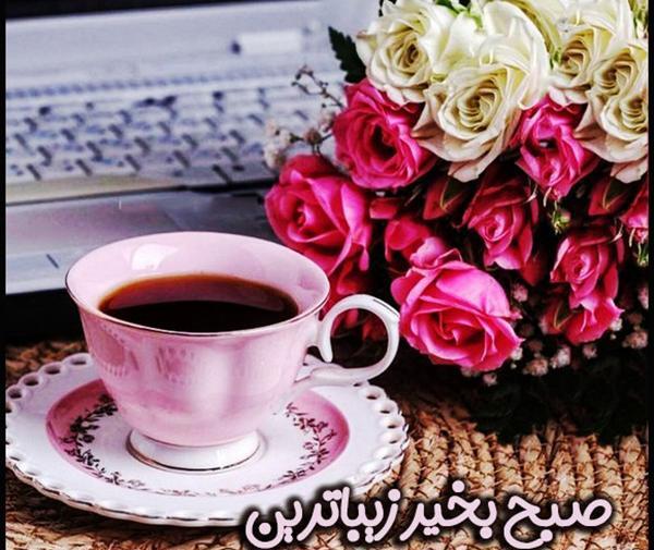 عکس گل روز بخیر