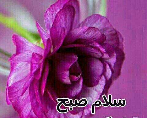 عکس روز سه شنبه بخیر