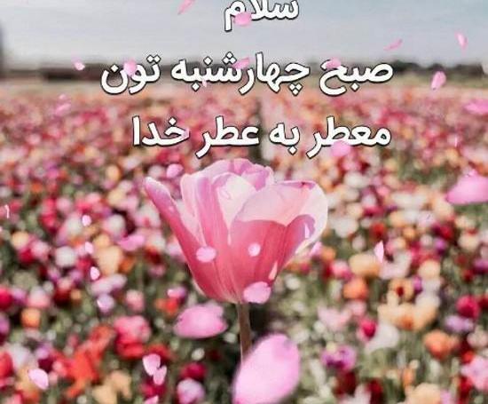 عکس روز شنبه تون بخیر