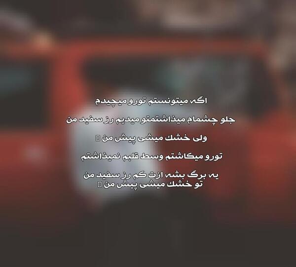 عکس رز سفید حامیم