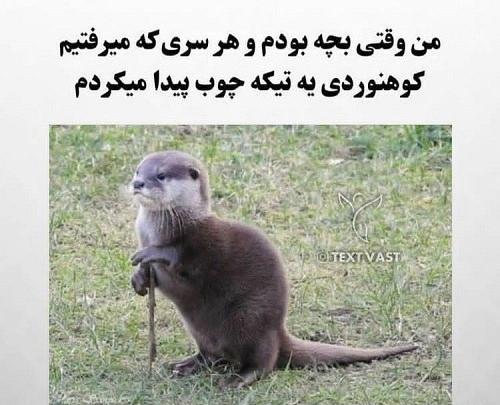 عکس ها خنده دار جدید
