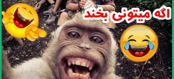 عکس کلیپ خنده دار