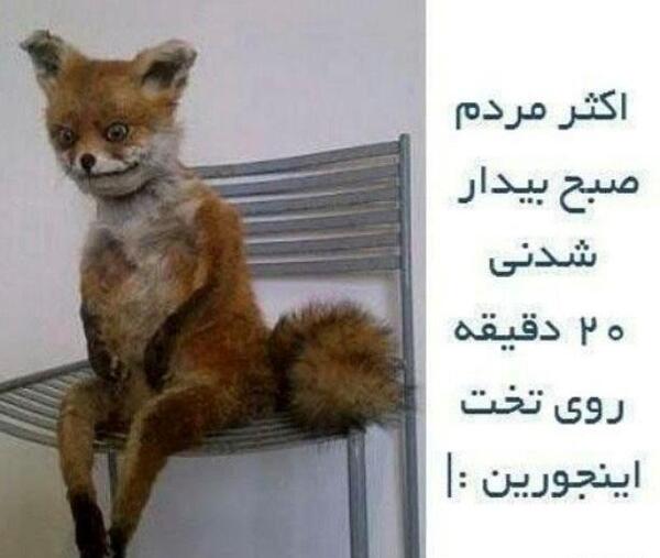 عکس عکس های خنده دار