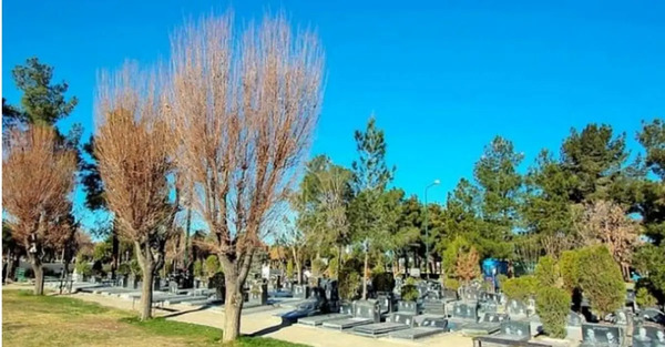 عکس زهرای خنده دار