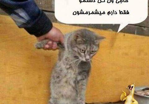 عکس خنده دار برای چالش
