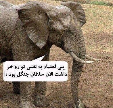 عکس خنده دار آفریقایی