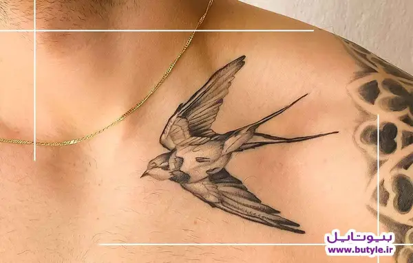 عکس خالکوبی عقاب روی کمر