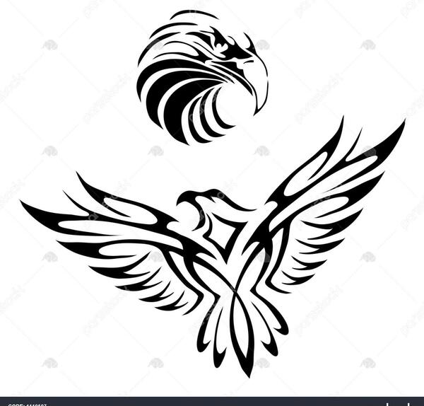 عکس تاتو سر عقاب