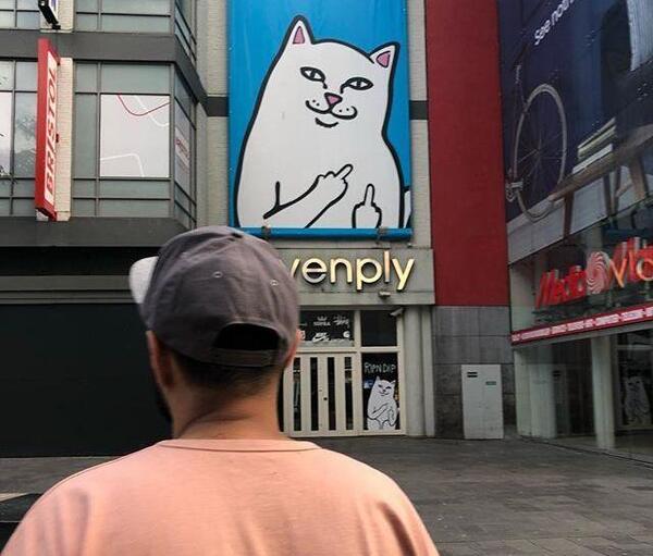 عکس سپهر خلسه با همسرش