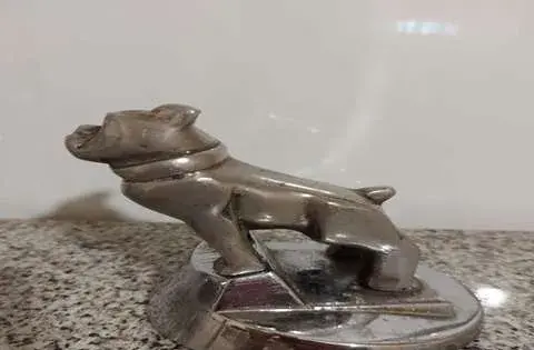 عکس سگ ماک امریکایی