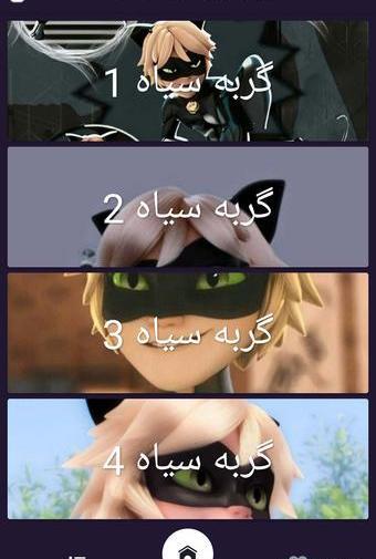عکس والپیپر گربه سیاه