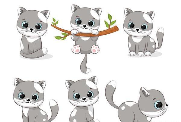 عکس گربه با پروانه
