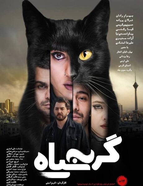 عکس گربه با پروانه