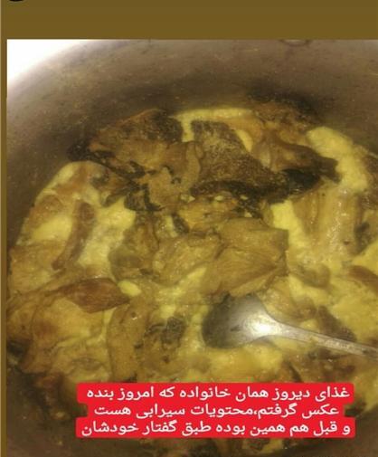 عکس گربه غذا خوردن