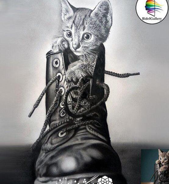 عکس گربه نقاشی سیاه قلم