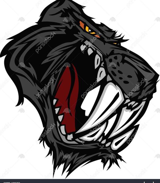 عکس گربه ی دندان خنجری
