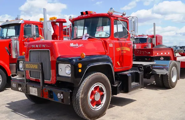 عکس سگ کامیون ماک