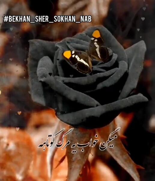 عکس نوشته میگن خواب مرگ کوتاهه
