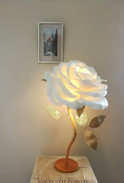 عکس شب خواب فانتزی