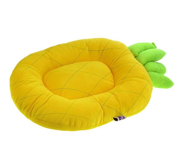 عکس تخت خواب سگی
