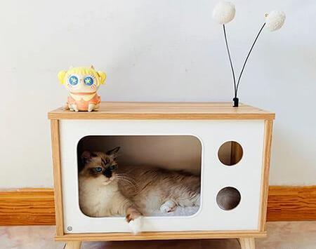 عکس جای خواب گربه