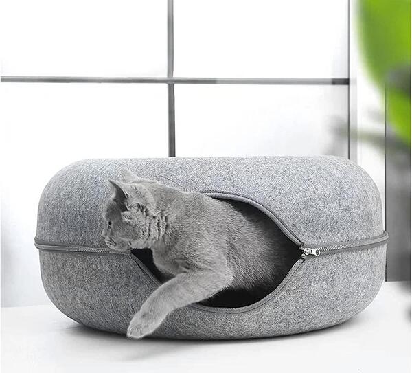 عکس جای خواب گربه