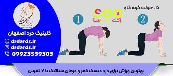 عکس ورزش برای درمان سیاتیک