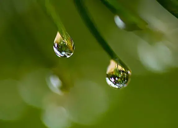 عکس از قطره باران