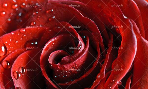 عکس با کیفیت قطره آب