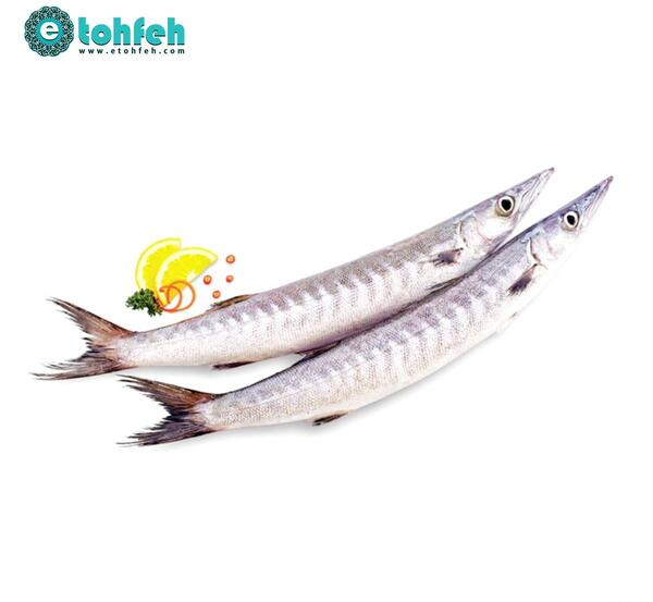عکس قطره ماهی