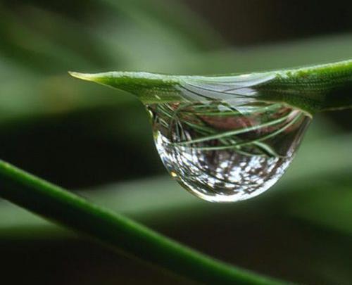عکس قطره