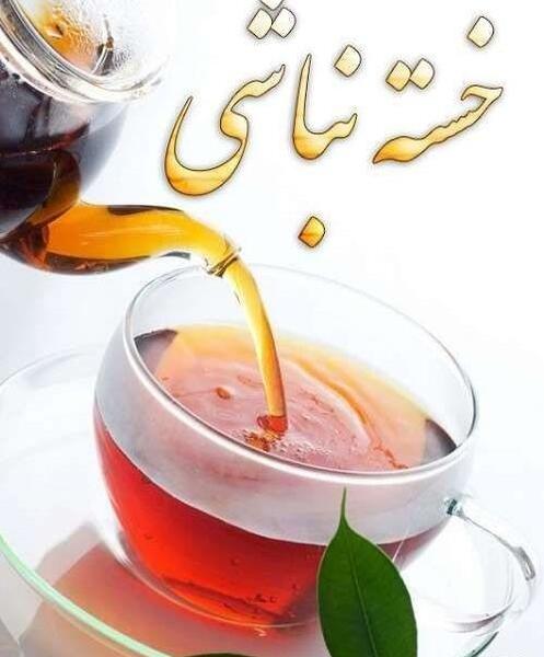 عکس خانم خسته نباشید خداحافظ