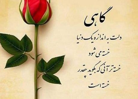 عکس خانم معلم عزیزم خسته نباشید