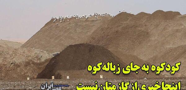عکس خانم شیرزادی
