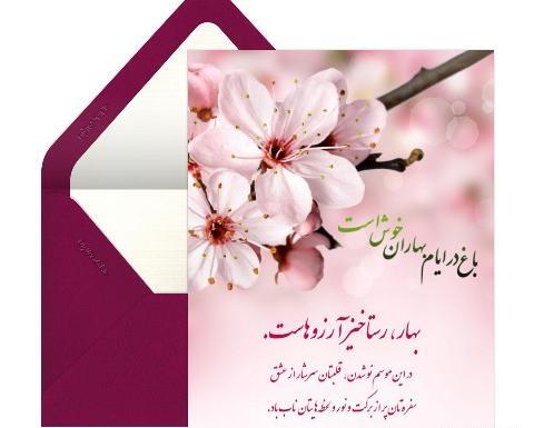 عکس معلم خانم نوروزی