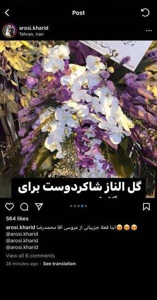 عکسهای الناز شاکردوست در عروسی گلزار