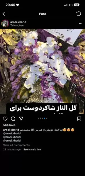 عکس الناز شاکردوست در عروسی گلزار