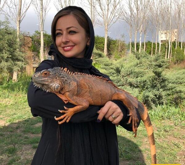 عکس سگ محمدرضا گلزار