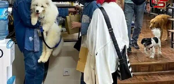عکس سگ محمدرضا گلزار