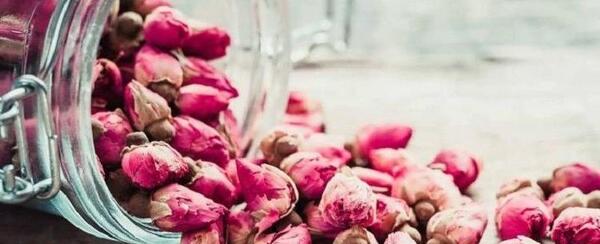 عکس خانم گل محمدی