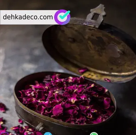 عکس خانم گل محمدی