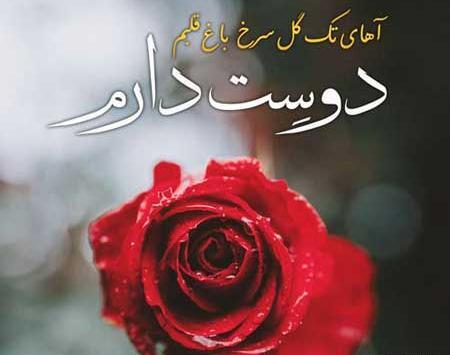 عکس خانم گلم دوست دارم