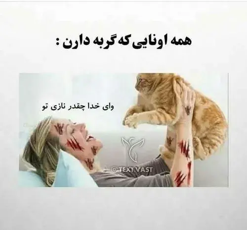 عکس عصبانیت کیوت