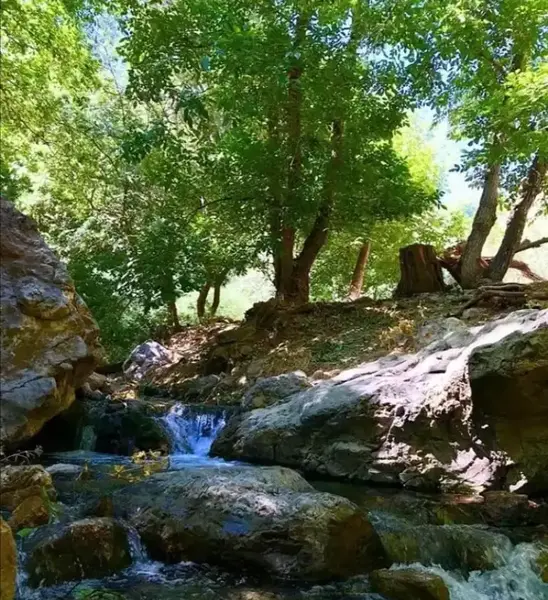 عکس قاسملو ارومیه