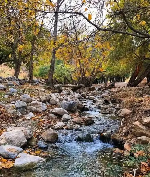 عکس قاسملو ارومیه