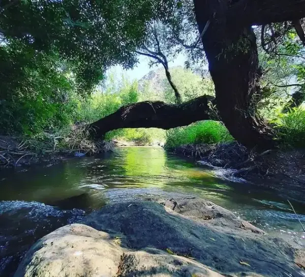 عکس قاسملو ارومیه