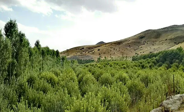 عکس قاسملو ارومیه