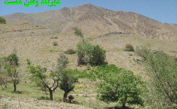 عکس روستای قاسم آباد