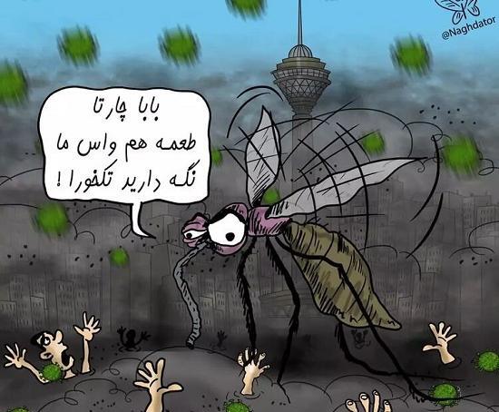 عکس پشه کرونایی