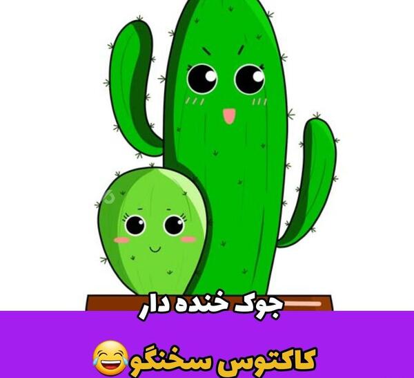 عکس کاکتوس با بادکنک